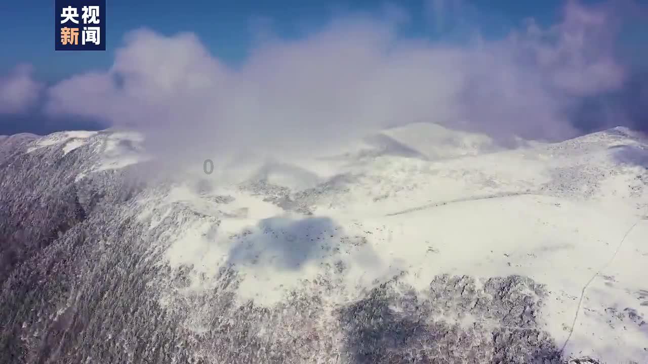 湖南跨年节目单官宣：TFBOYS压轴，王一博唱无感，杨紫翻唱她的歌