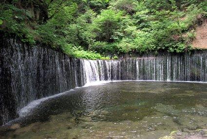 陈乔恩发胖似怀孕,评论自黑遭赵丽颖神补刀