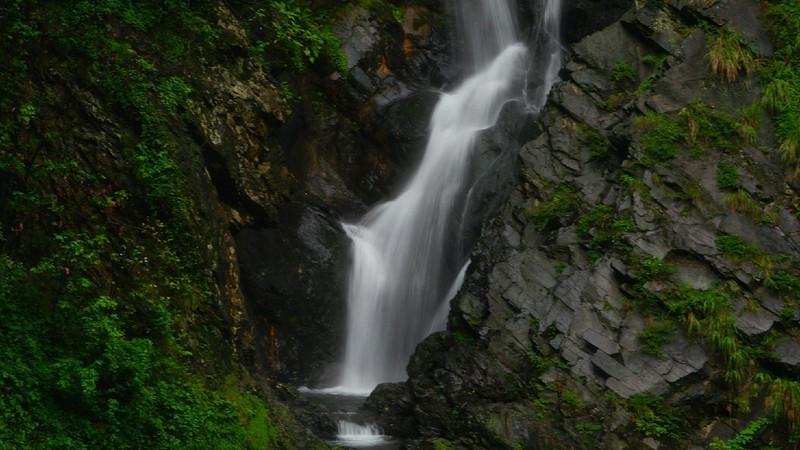 电影《花千骨》票房惨淡，五天仅有500万，赵丽颖主动帮忙宣传