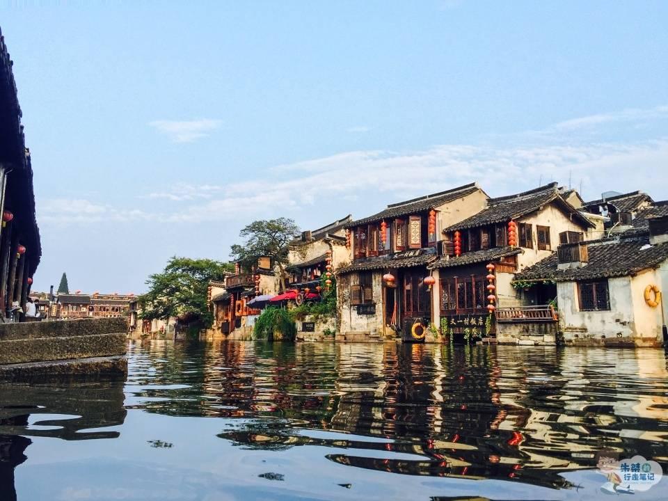 雨后盛放