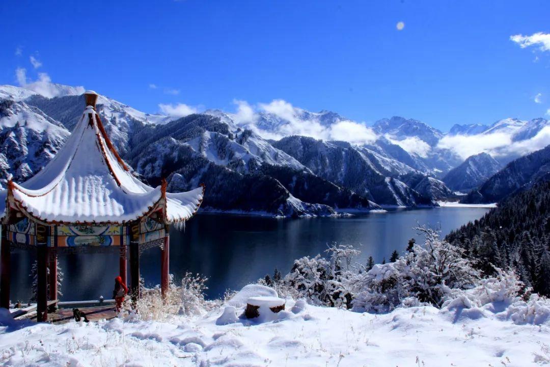 探探猫历险记2